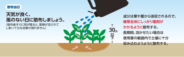 土壌処理型+茎葉処理型除草剤のまき方