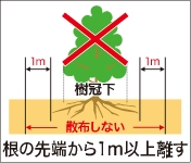 根の先端から1m以上離す