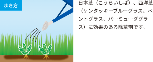 芝生をきれいにキープする シバキープ 芝生用除草剤no 1ブランド シバキープシリーズ レインボー薬品