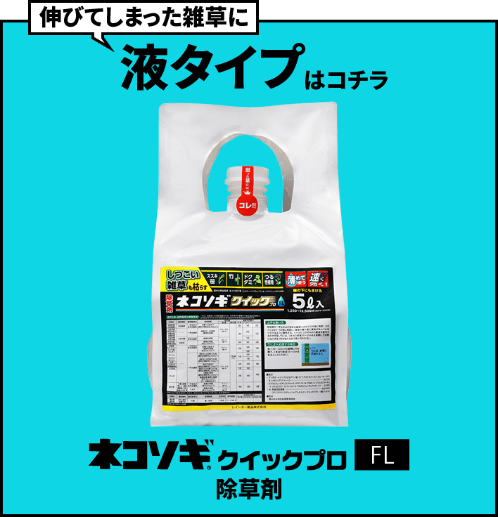 商品バナー2