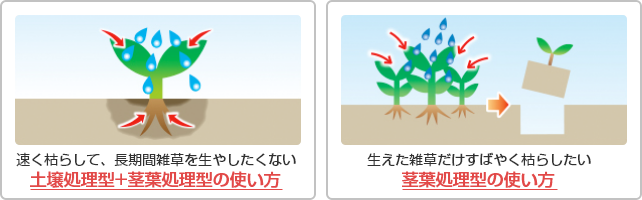 土壌処理型＋茎葉処理型の使い方・茎葉処理型の使い方
