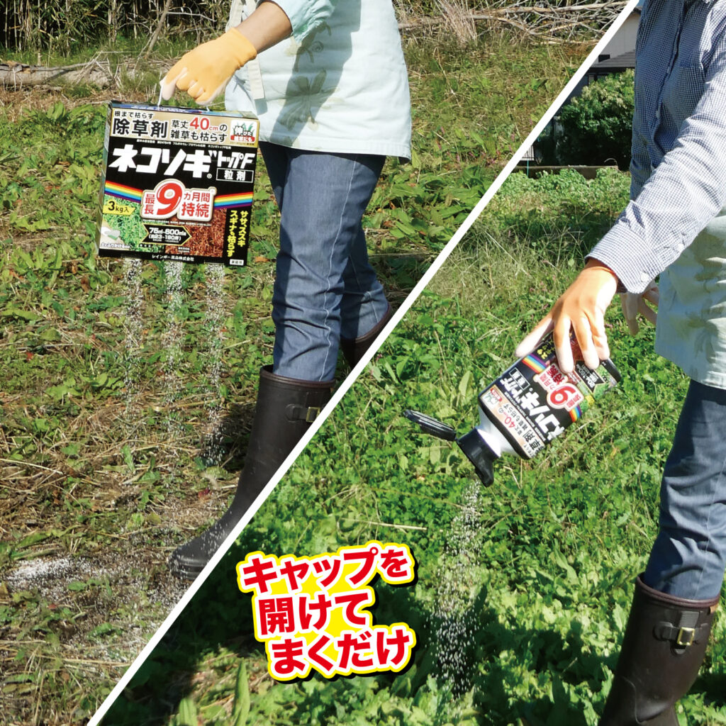 ネコソギトップF粒剤 | 商品 | レインボー薬品株式会社
