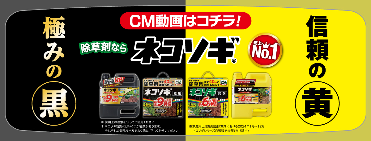 shn！！！　　ネコソギ 除草剤で雑草をネコソギ枯らす | レインボー薬品株式会社